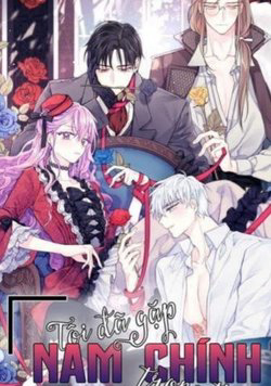 Bìa truyện Tôi Đã Gặp Nam Chính Ở Trong Tù