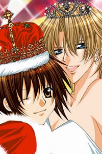 Bìa truyện Mối tình hoa hồng xanh