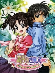 Bìa truyện Đi tìm Mặt Trăng Tròn